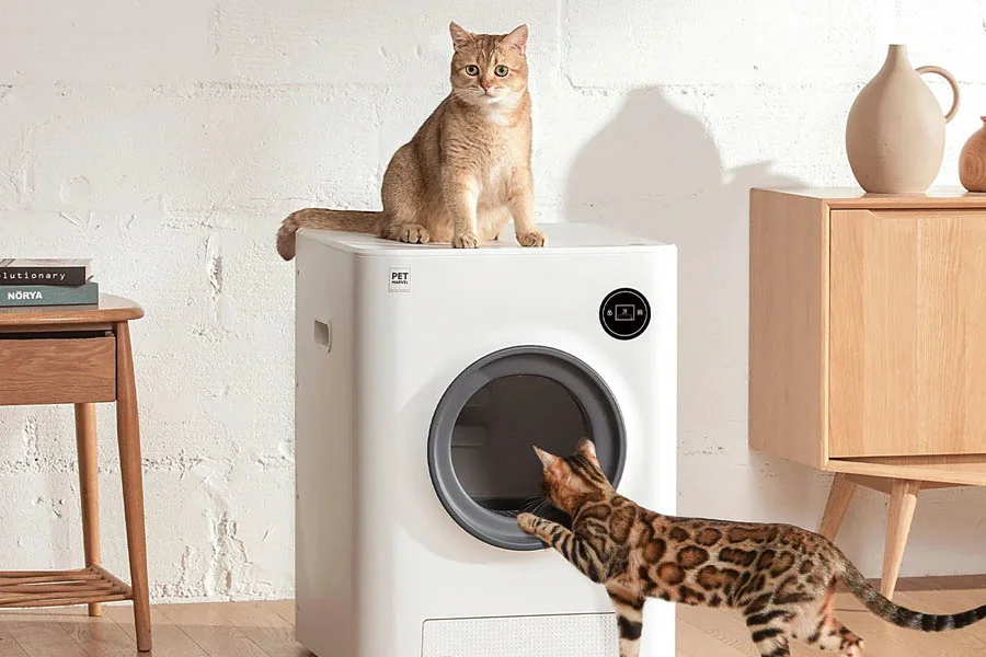 what is the best cat litter box